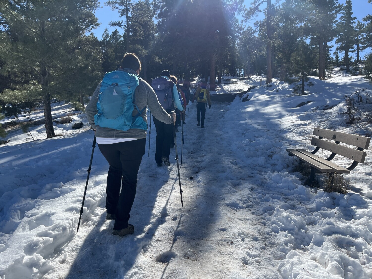 Shared Path: Embracing Unity & Collective Racial Healing