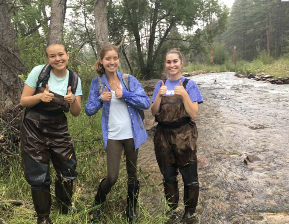 Rooted in Water: Watershed Science Hike with The Watershed Center