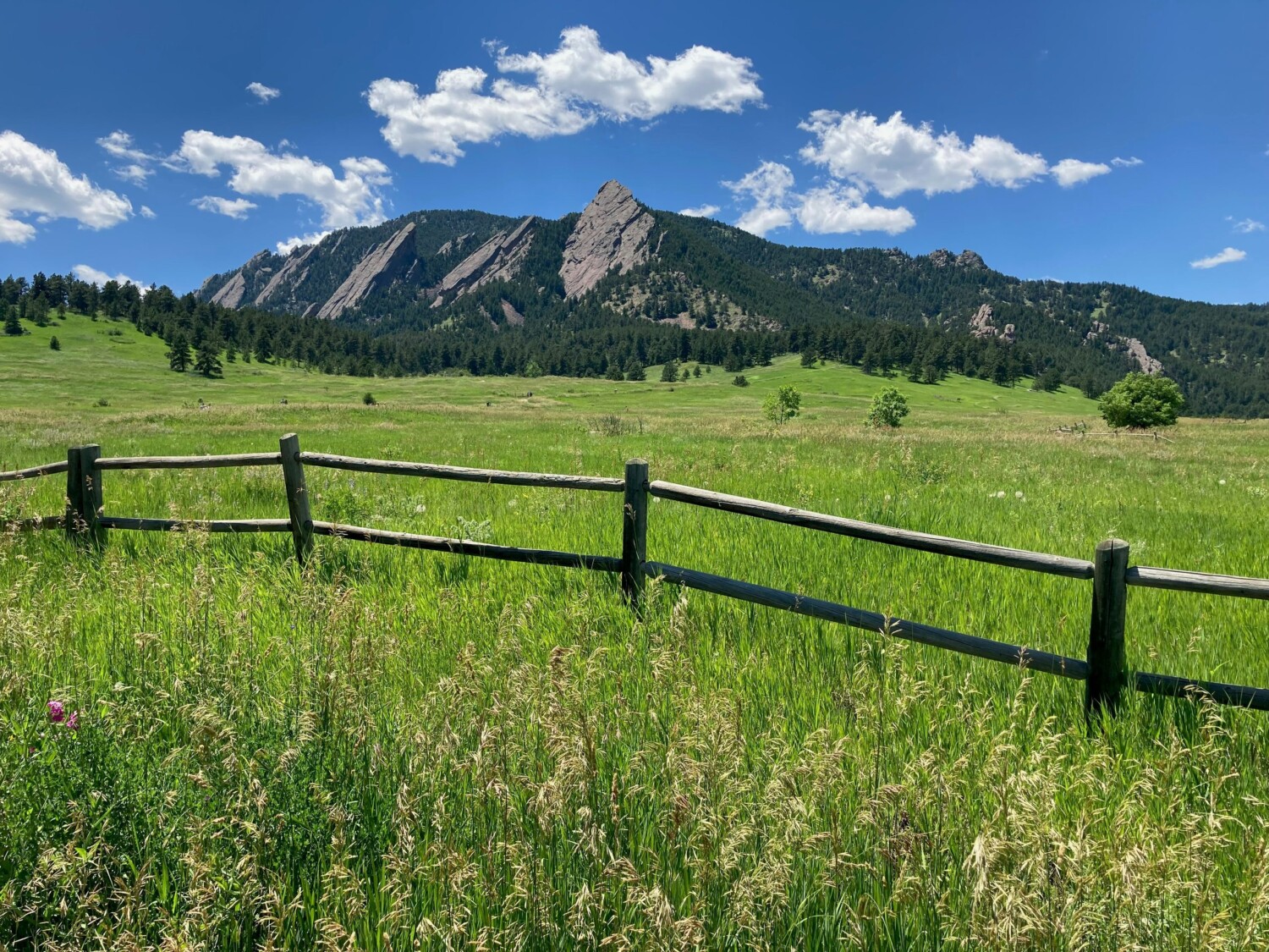 Shared Path: Queer Ecology with City of Boulder Open Space & Mountain Parks