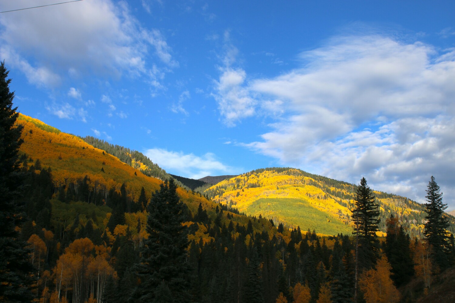Leaf Peeping with Rocky Mountain Conservancy